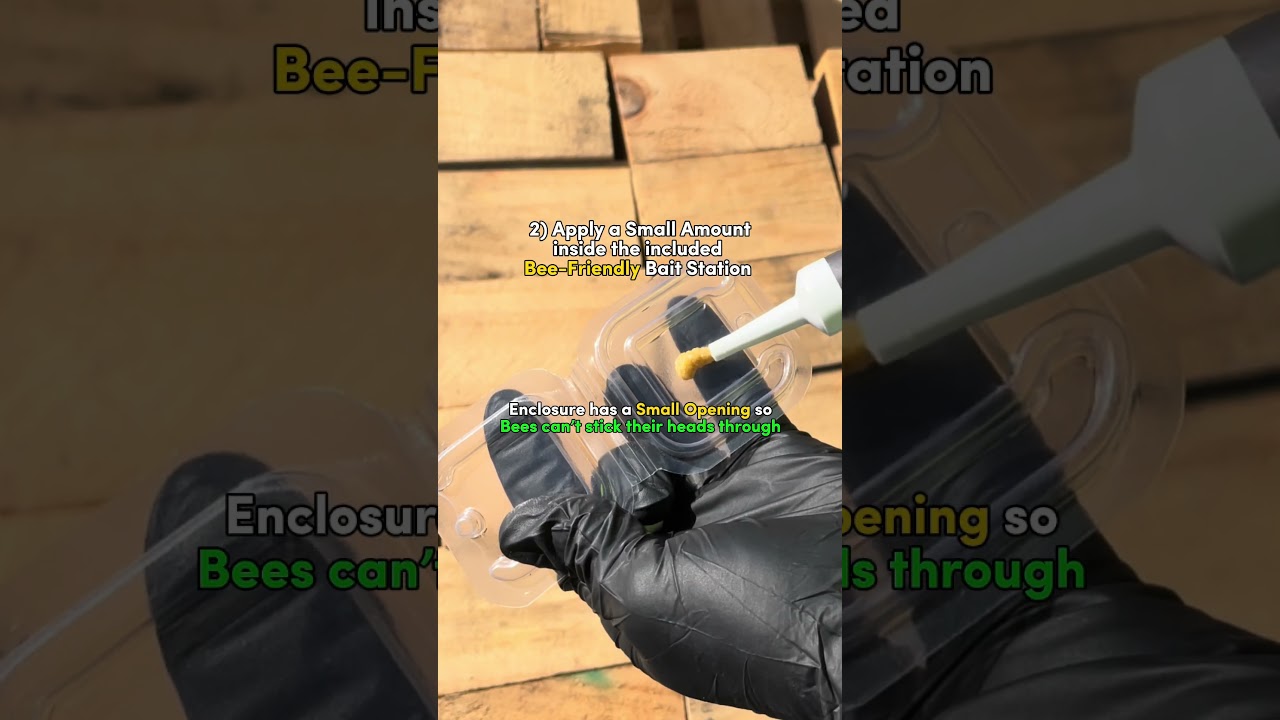 How to STOP Bee Hive Ants safely and effectively!