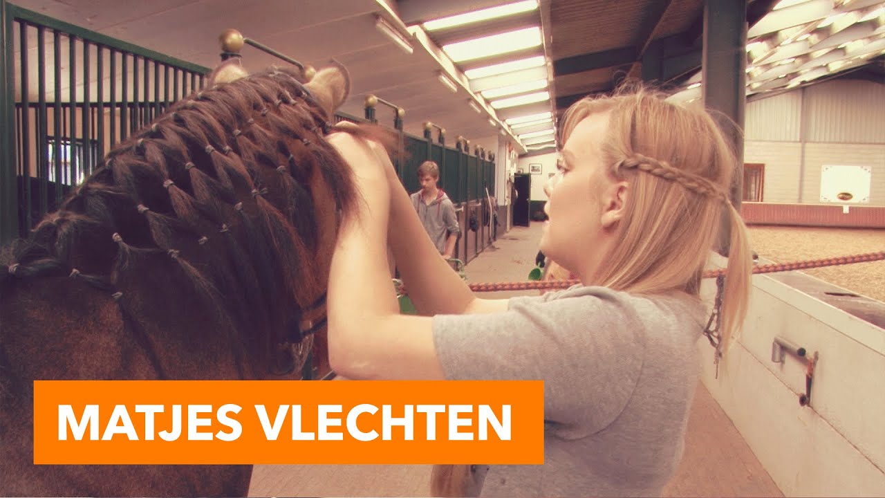 Matjes vlechten | PaardenpraatTV