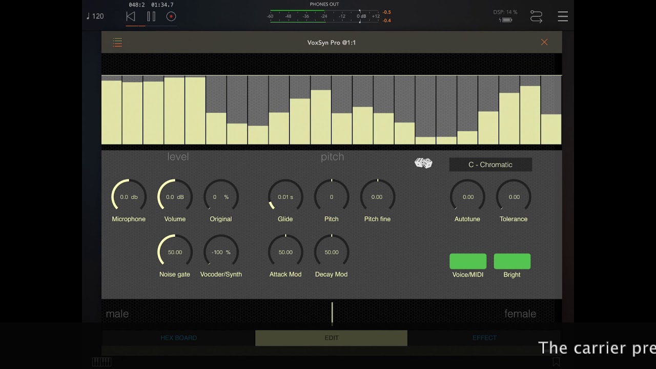 VoxSyn Pro