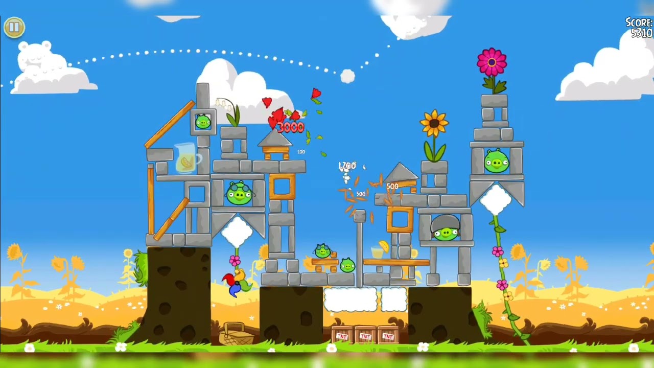 Angry Birds Seasons | Summer Pignic - All Levels