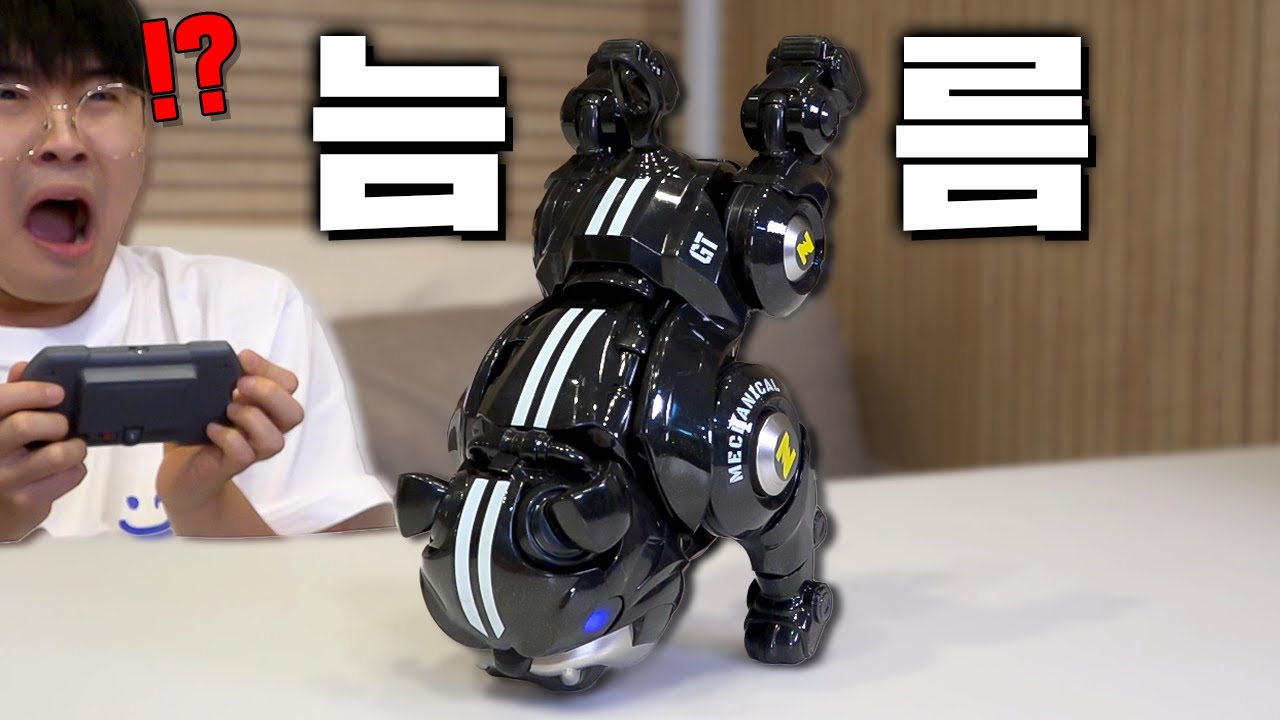 지못미 장난감 13탄 (이 로봇 왜 이래?ㅋㅋㅋ)