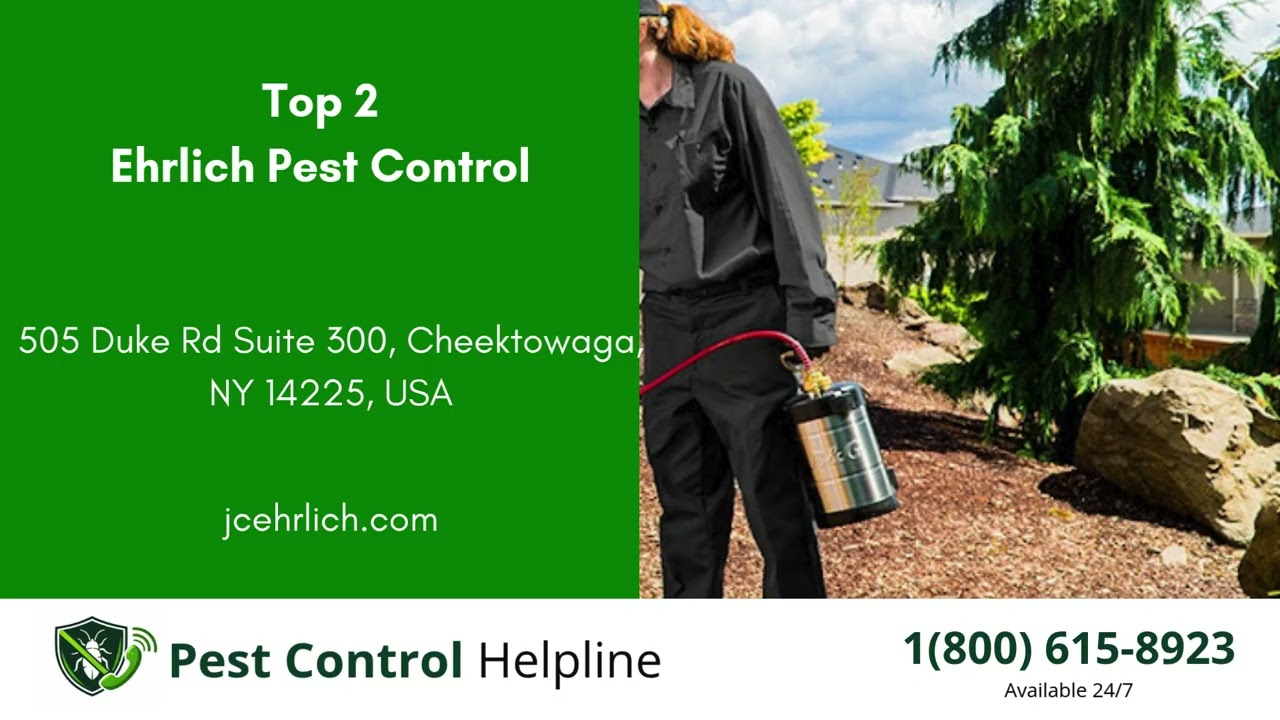 Top 3 Pest Control in Depew