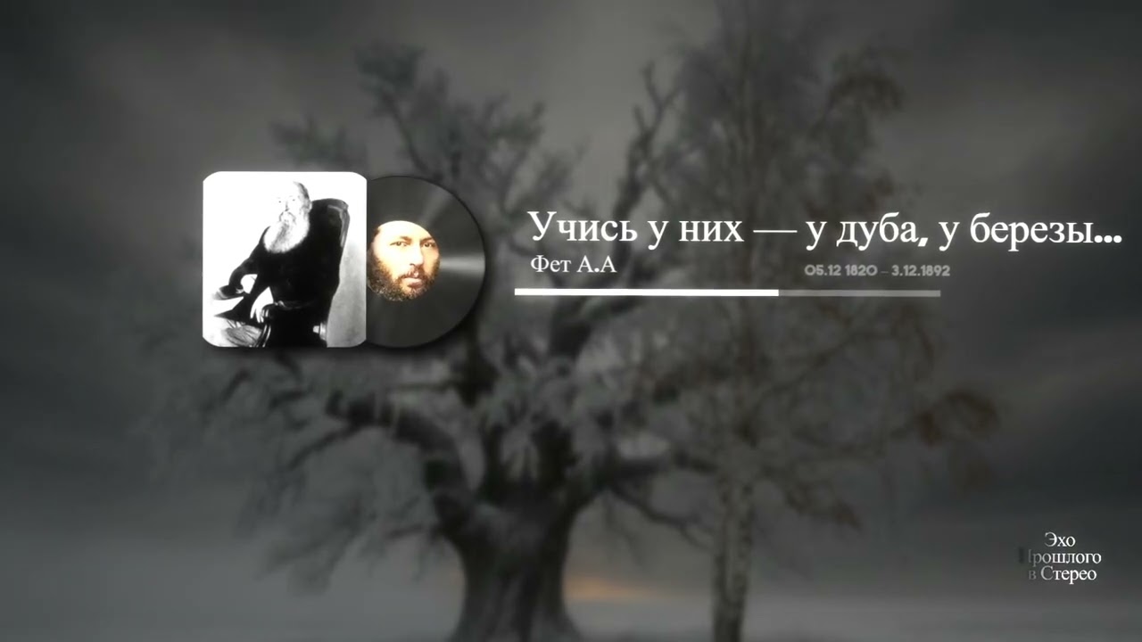 Учись у них — у дуба, у березы...(Фет А.А)