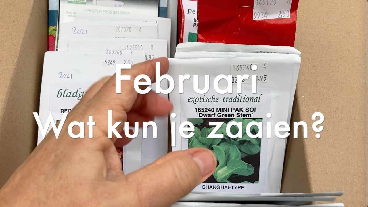 Ini's Moestuin #85 - Februari: wat kun je al zaaien? Fruitgroenten, kolen, peulvruchten, prei, ui