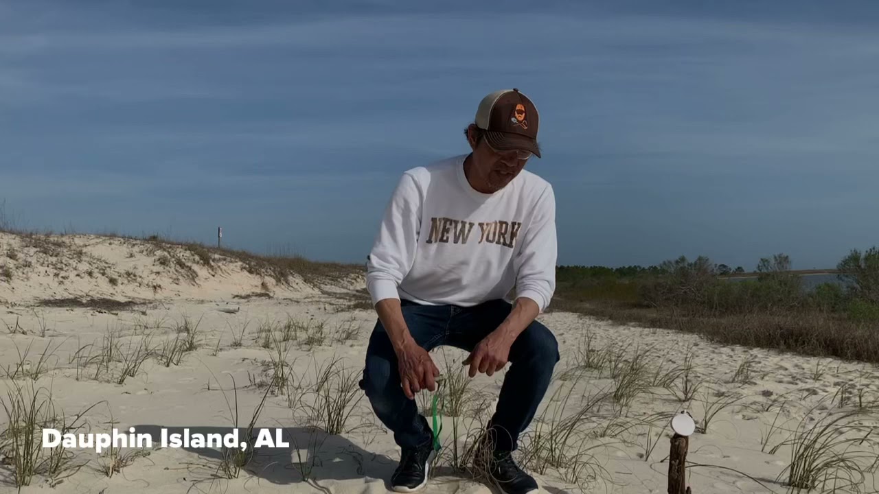 FLiP CLiP: Prime Fork Catapult Beagle MOc - Beach 01