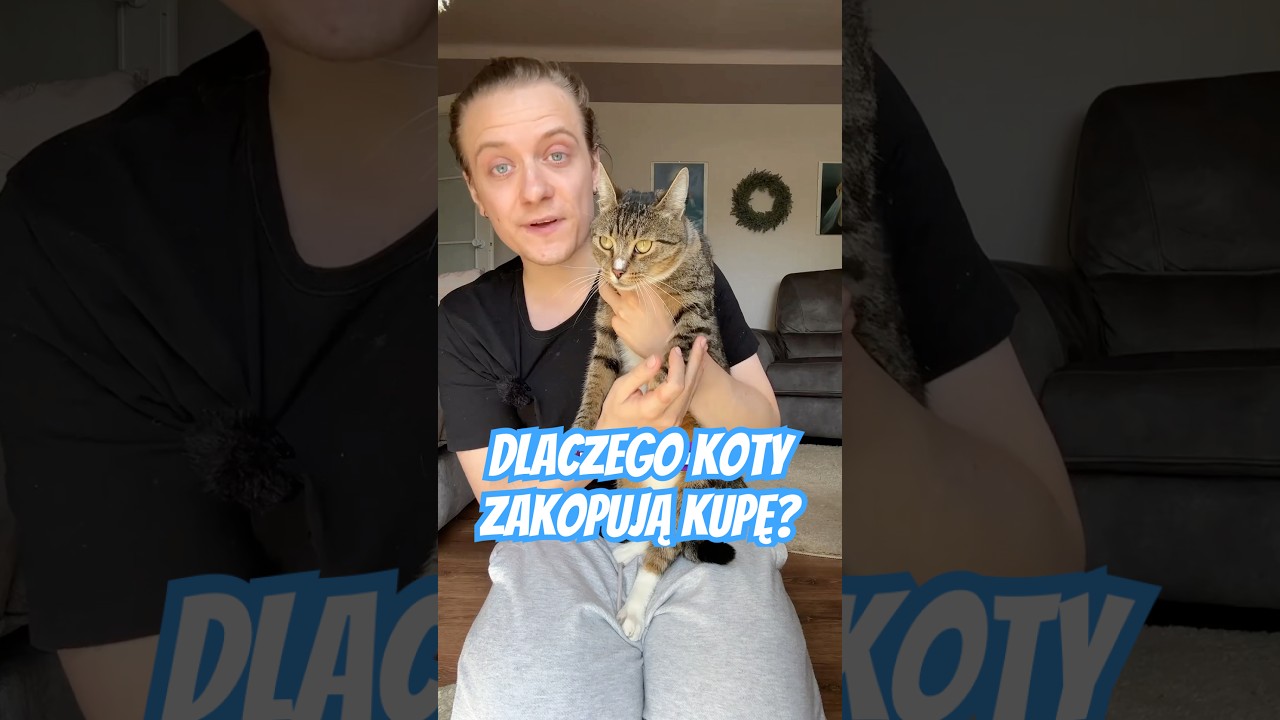 dlaczego KOTY zakopują KUPĘ?