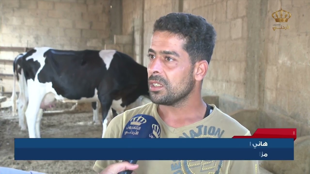صفاء القدومي طبيبة بيطرية تضرب أروع الأمثلة في التعامل مع الحيوانات