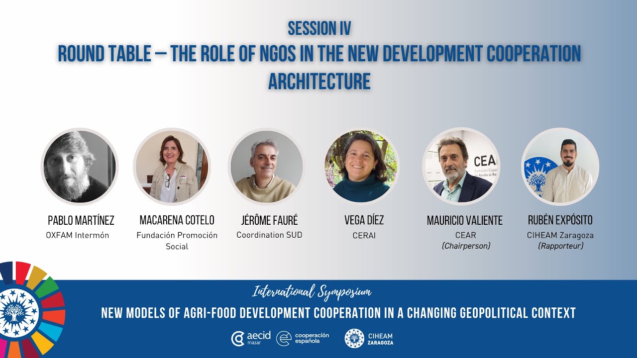 The Role of NGOs in the New Development Cooperation Architecture