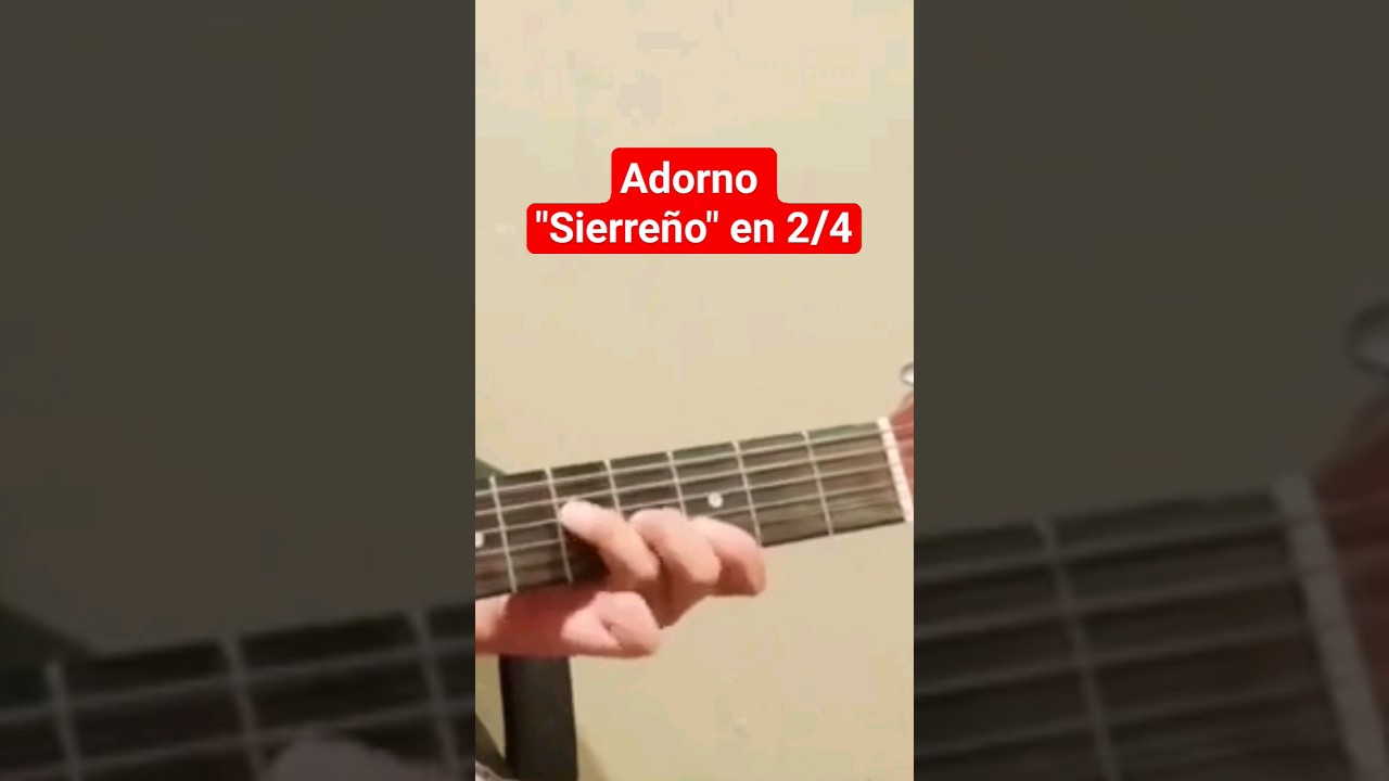 adornos Sierre&ntilde;o en guitarra 2/4 tono de sol