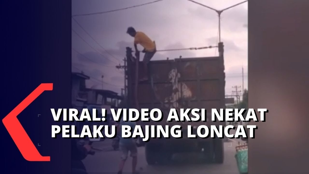Detik-Detik Aksi Kawanan Bajing Loncat Di Pelabuhan Belawan!