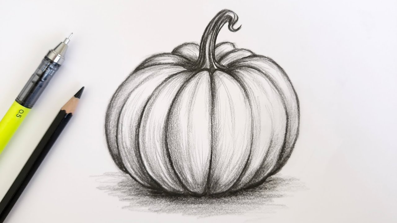Thanksgiving Pumpkin Drawing Tutorial / Realistic Pencil Shading Step by Step 