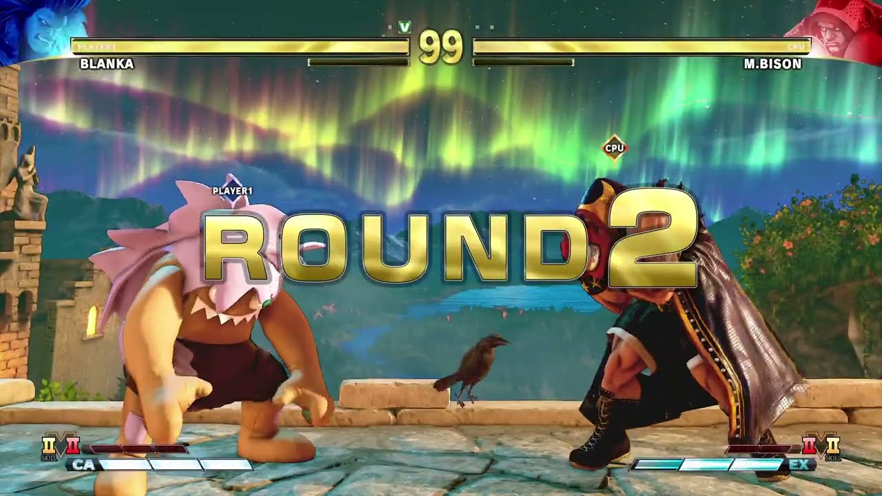 BLANKA-CHAN VS MIKE BISON ブランカちゃん対マイク・バイソンで戦ってみた Street Fighter V