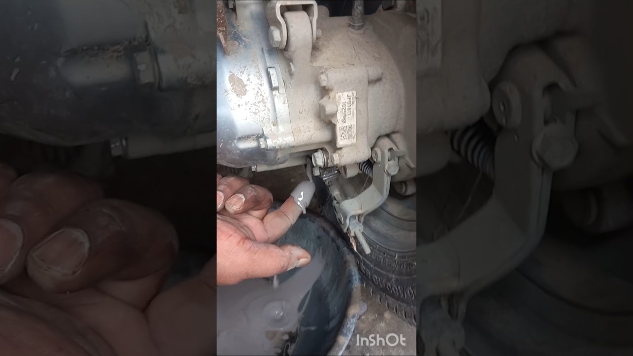 ACTIVA 6G Rear Wheel Gear ⚙️⚙️. Oil Change #automobile #gill automobile