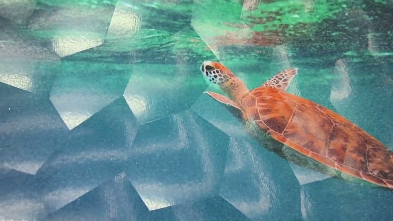 Have you ever encountered polygon prism film as part of your DTF printing solutions?