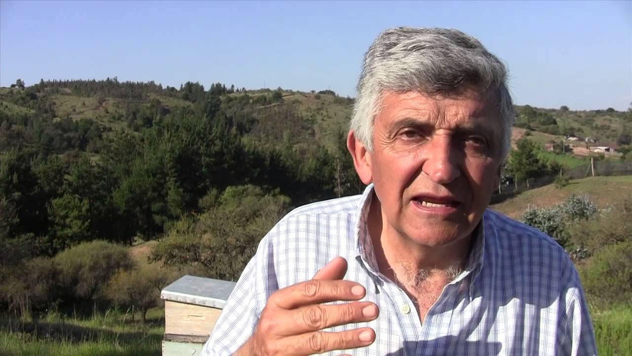 Apicultura Orgánica y Salvando Las Abejas