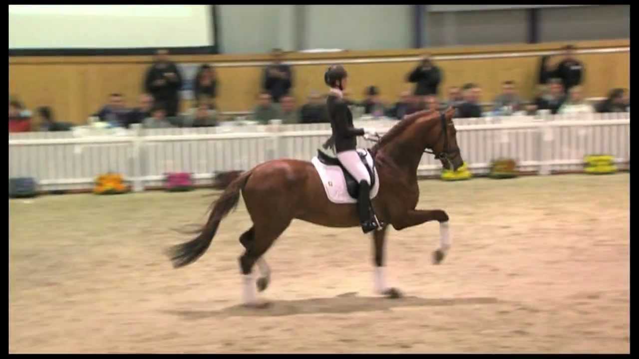 Don Juan de Hus - Vidéo catalogue 2012