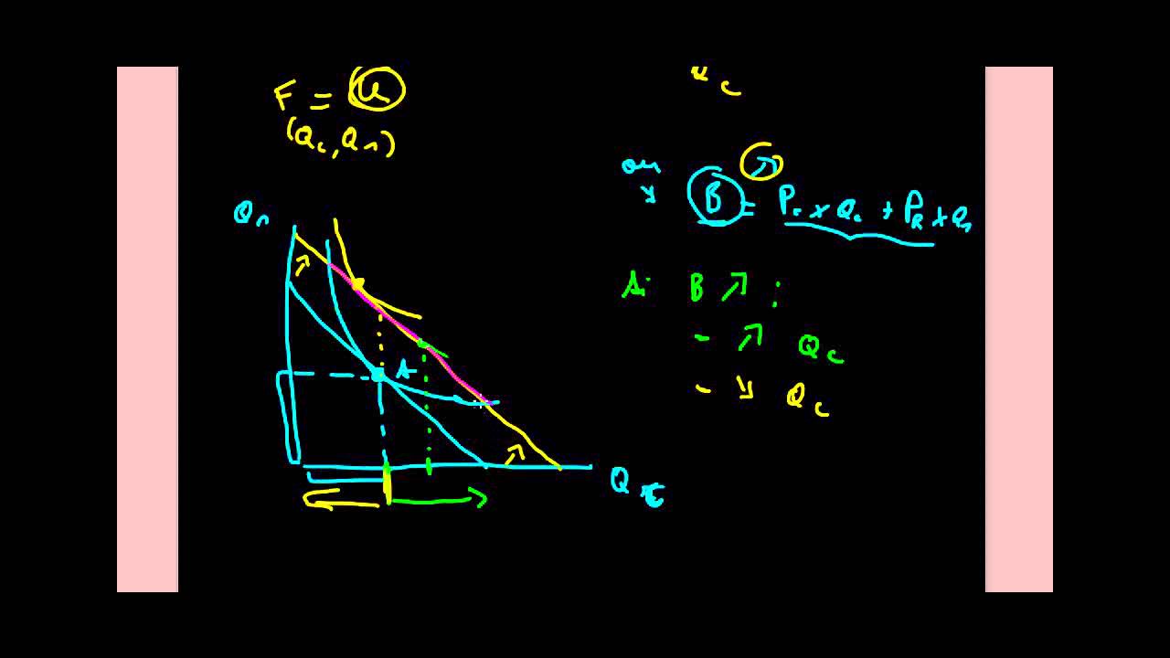 Micro&eacute;onomie - Effets substitution et revenu