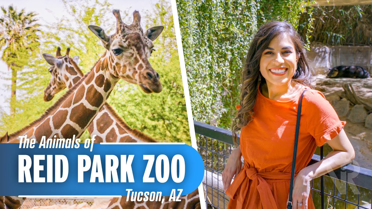 A Day at Reid Park Zoo in Tucson, AZ!