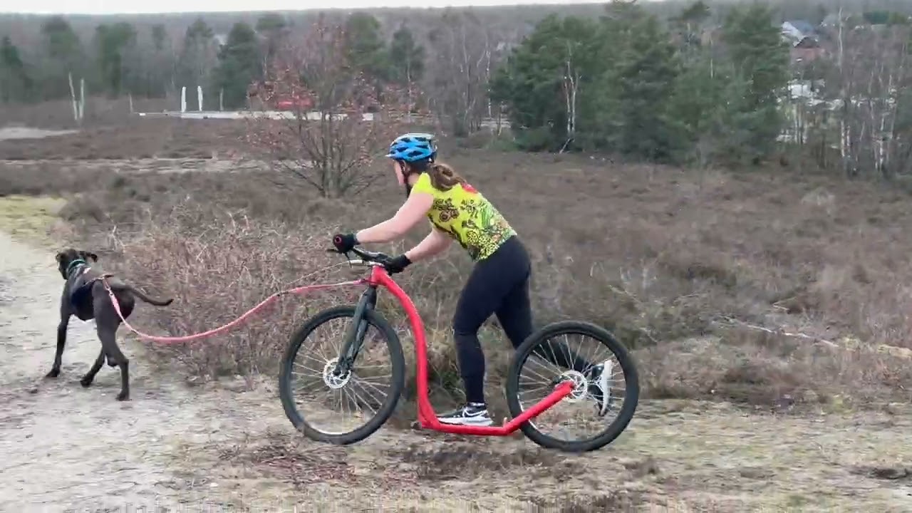 Kuilencross Zonhoven 2026   Relay