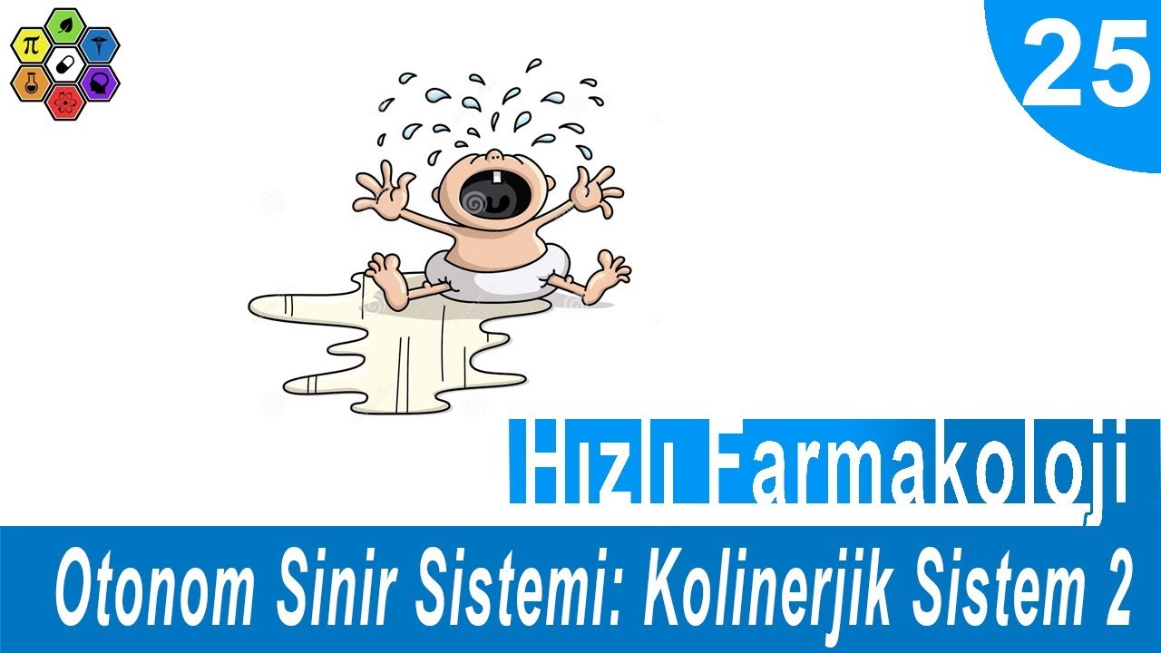 OTONOM SİNİR SİSTEMİ: KOLİNERJİK SİSTEM 2 | Hızlı Farmakoloji #25