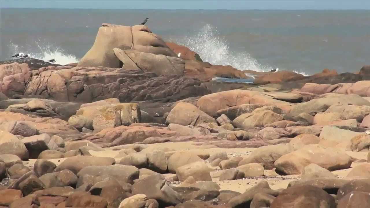 Cabo Polonio en Resistencia 2014 (@Contrainfos)
