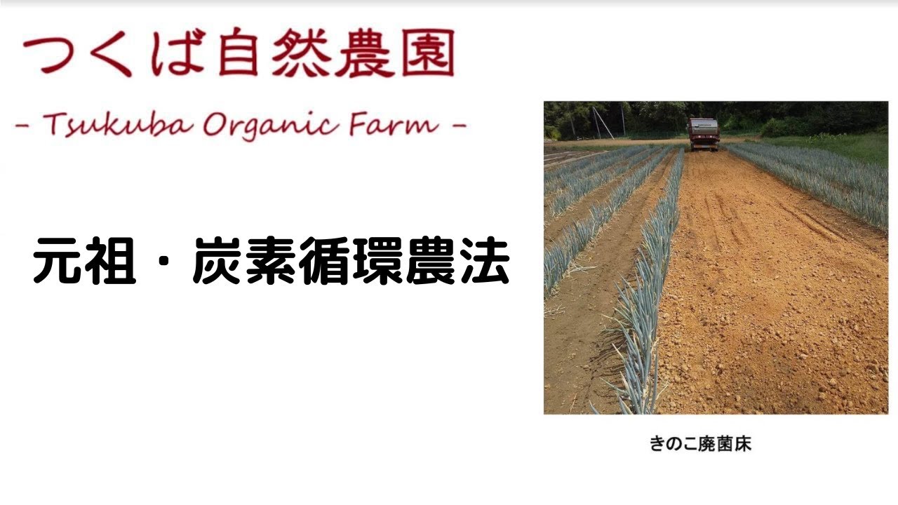 元祖・炭素循環農法！徹底解析！