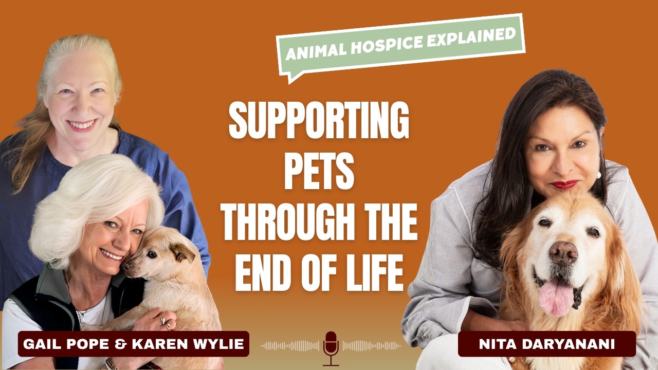 Animal Hospice & End-of-Life Care: What Every Pet Guardian Needs to Know