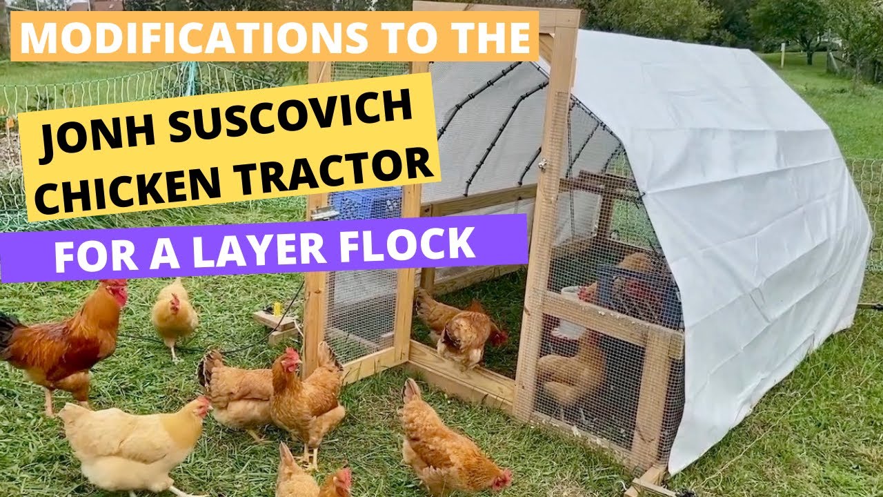 Modifications to the John Suscovich Chicken Tractor for a Layer Flock