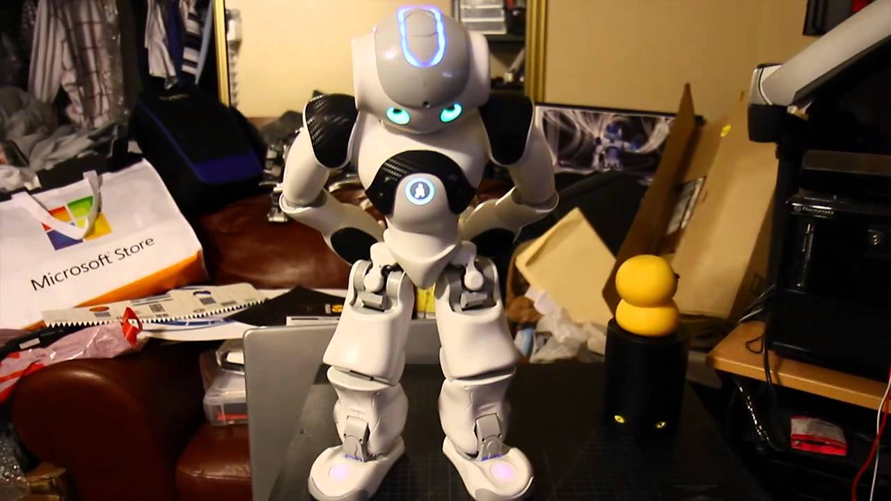 Nao Robot j2's simple Demo