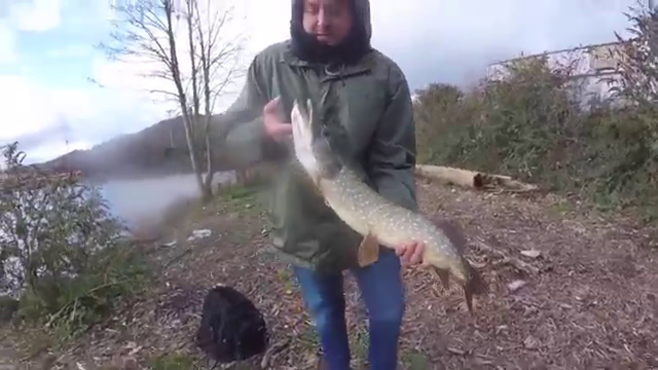 22 - Pêche du Brochet et du Sandre au leurre souple au Port de Rouen et ailleurs ;-)