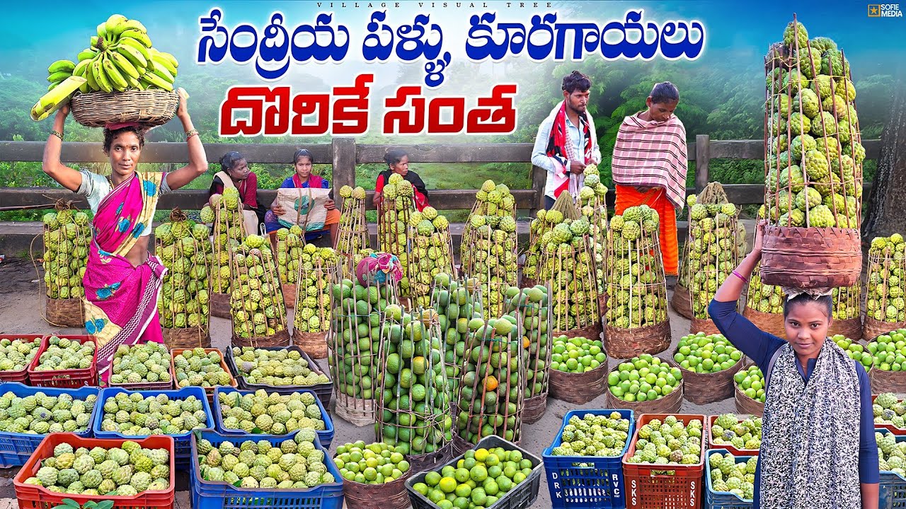 కాశీపట్నం గిరిజన సంత || kasipatnam tribal market || kasipatnam santha 