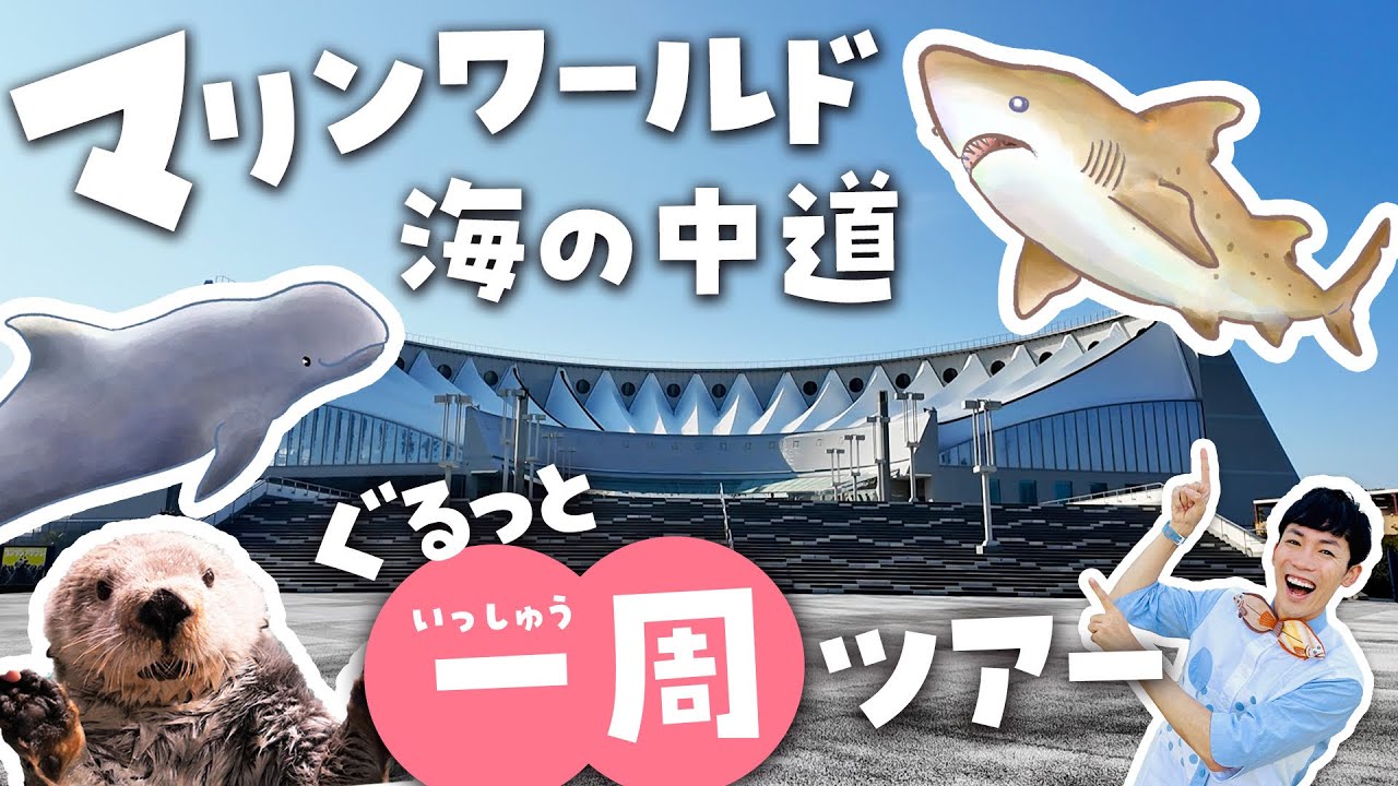 行く前に見て！マリンワールド海の中道が100倍楽しめる水族館ツアー♪サメやイルカショー、ラッコの歴史やお土産まで徹底解説
