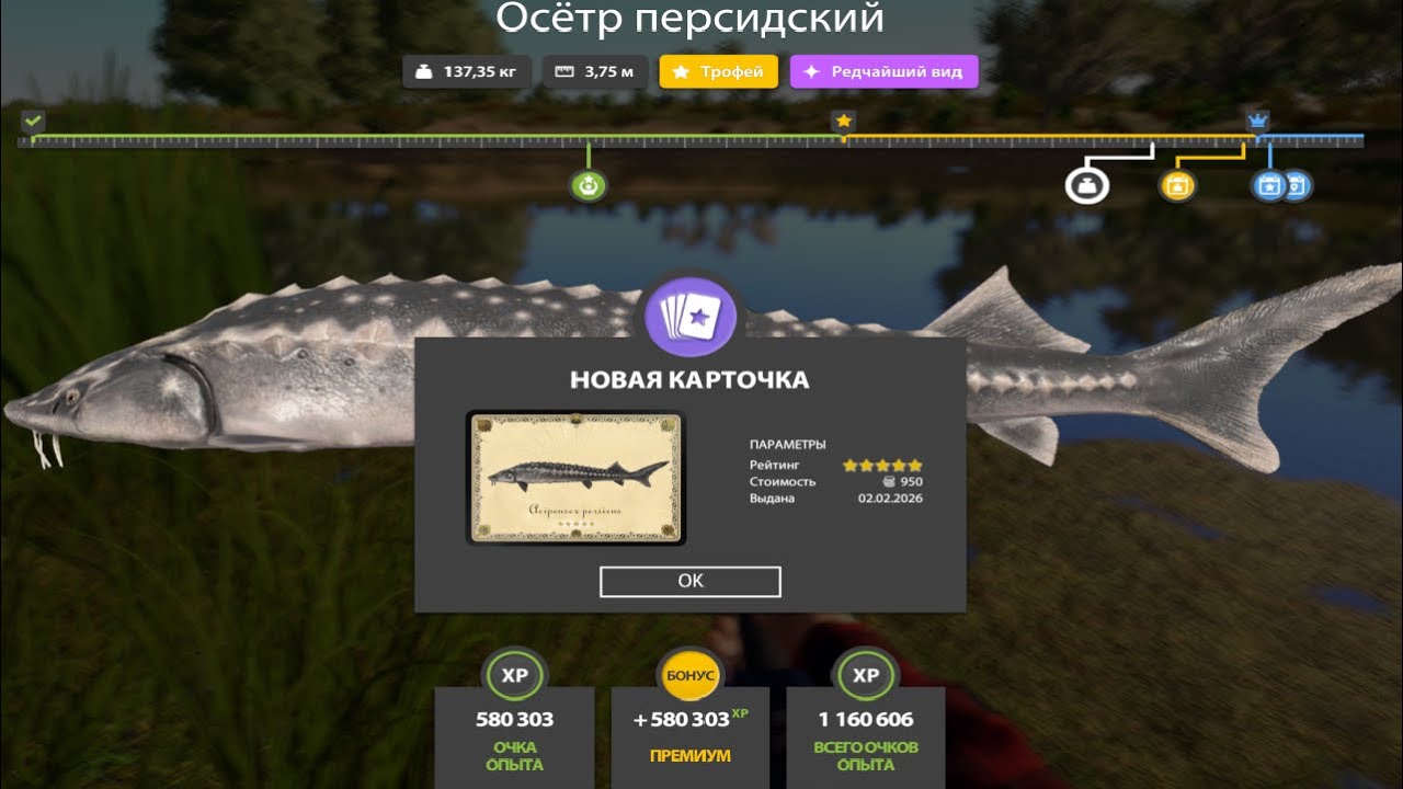 НОВЫЕ ФАРМЫ СЕРЕБРА и РАЗДАЧИ ТРОФЕЕВ! СВОДКА по ВОДОЁМАМ на 03.02 в Русской Рыбалке 4! РР4