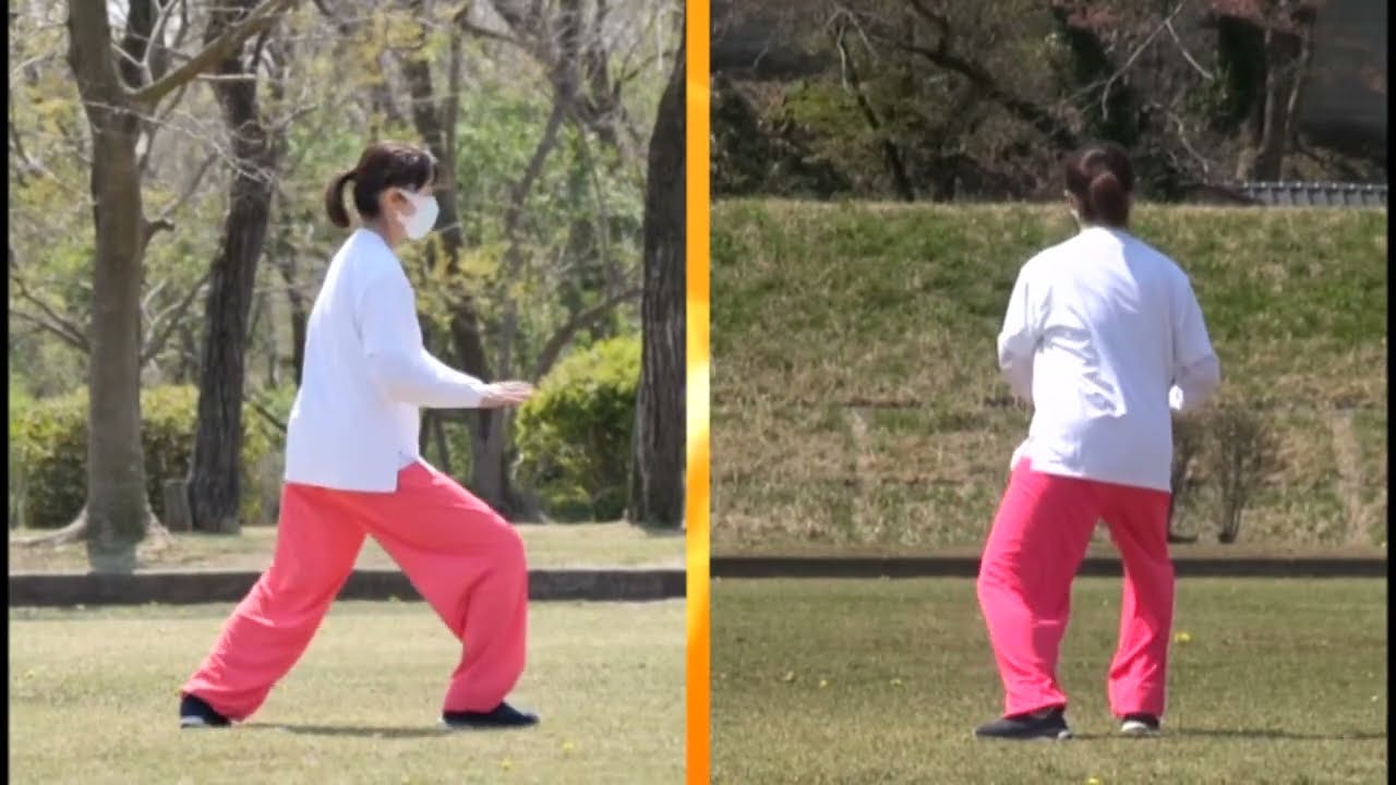 楊名時太極拳2画面解説入り