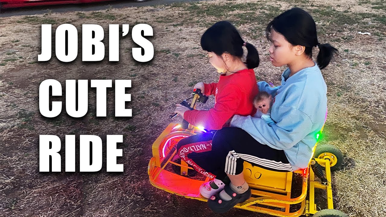 LUCKY & JOBI Get Asked To Take Them Out To Play By Two Neighbor Girls | Dad HUNG Immediately Agrees