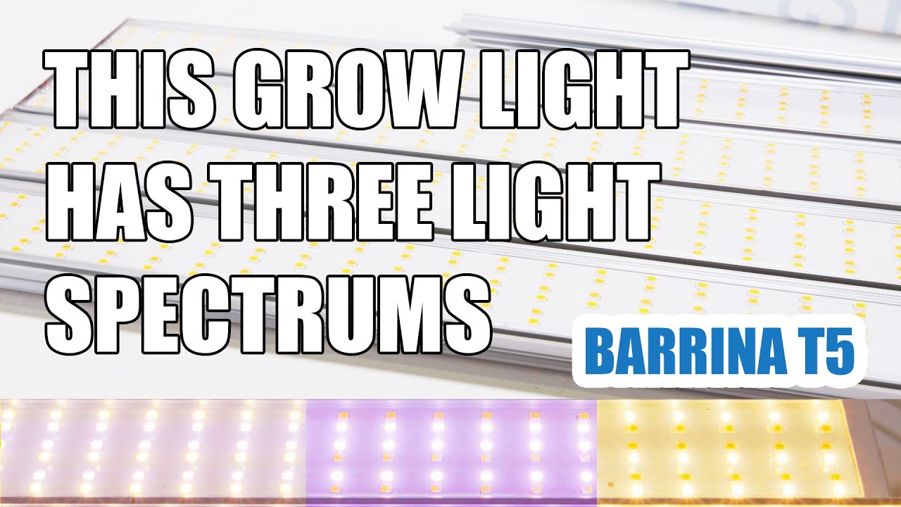 This Grow Light Has THREE Spectrums, Barrina T5 Grow Lights