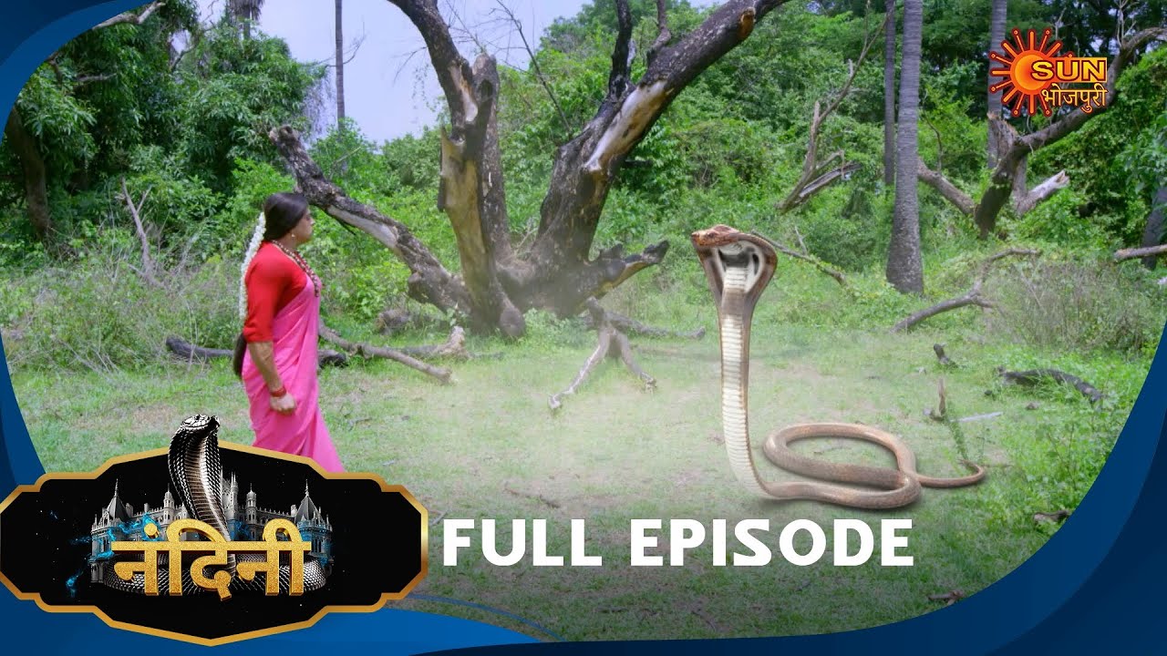 Nandini - Episode 523 | Bhojpuri Naagin show | Sun Bhojpuri | Bhojpuri Serial