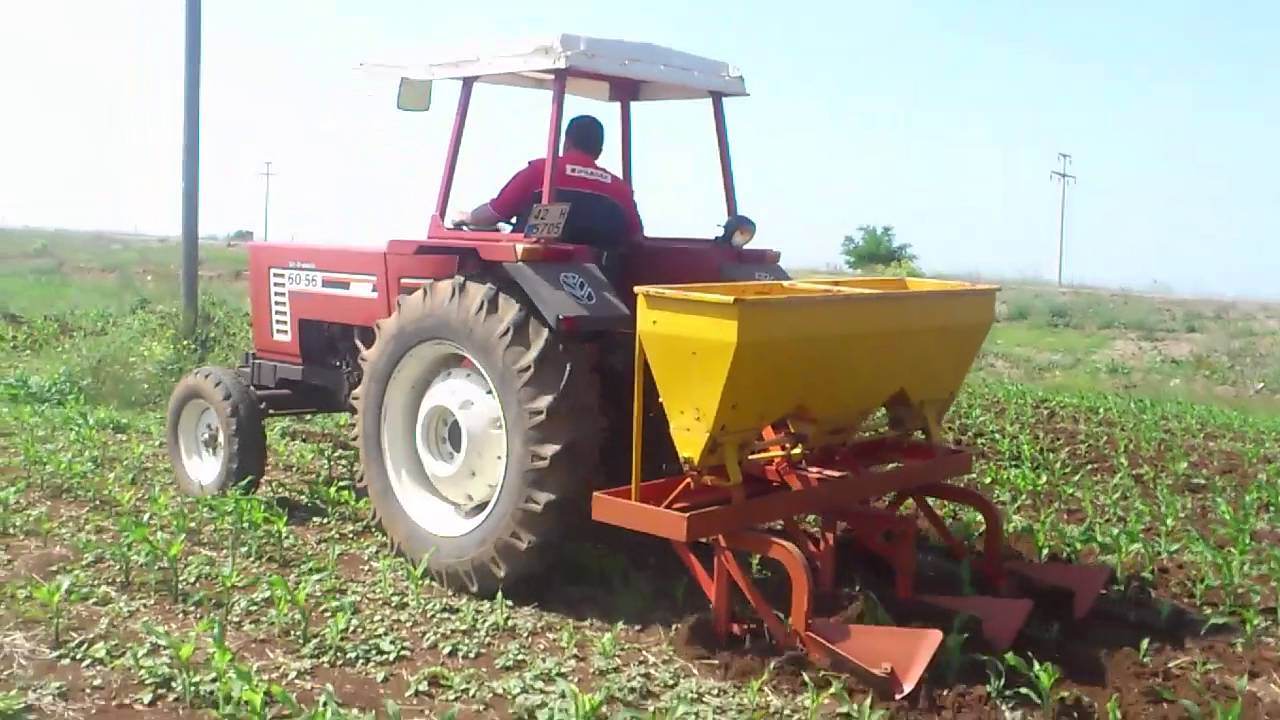 Mısır Ara Çapa ve Boğaz Doldurma