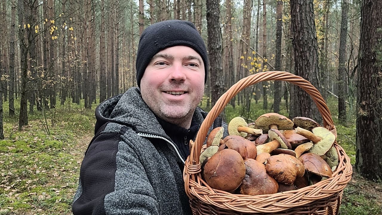 GRABÓW NAD PILICĄ. PIĘKNE PODGRZYBKOWE LASY I TŁUM WARSZAWSKICH GRZYBIARZY 08.11.25
