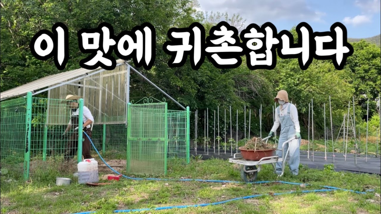 텃밭에 모종 심고, 닭개장 끓여먹는 시골일상