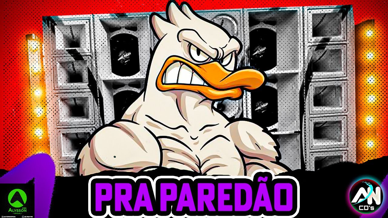 TOPS ARROCHADEIRA 2025 - AS MAIS TOCADAS PRA PAREDÃO - AS MELHORES DO TIK TOK 2025 - O PATÃO