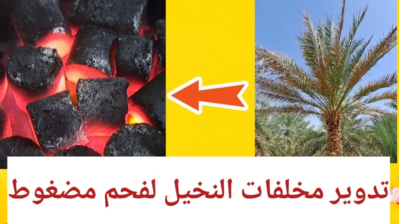 تدوير مخلفات النخيل لفحم مضغوط