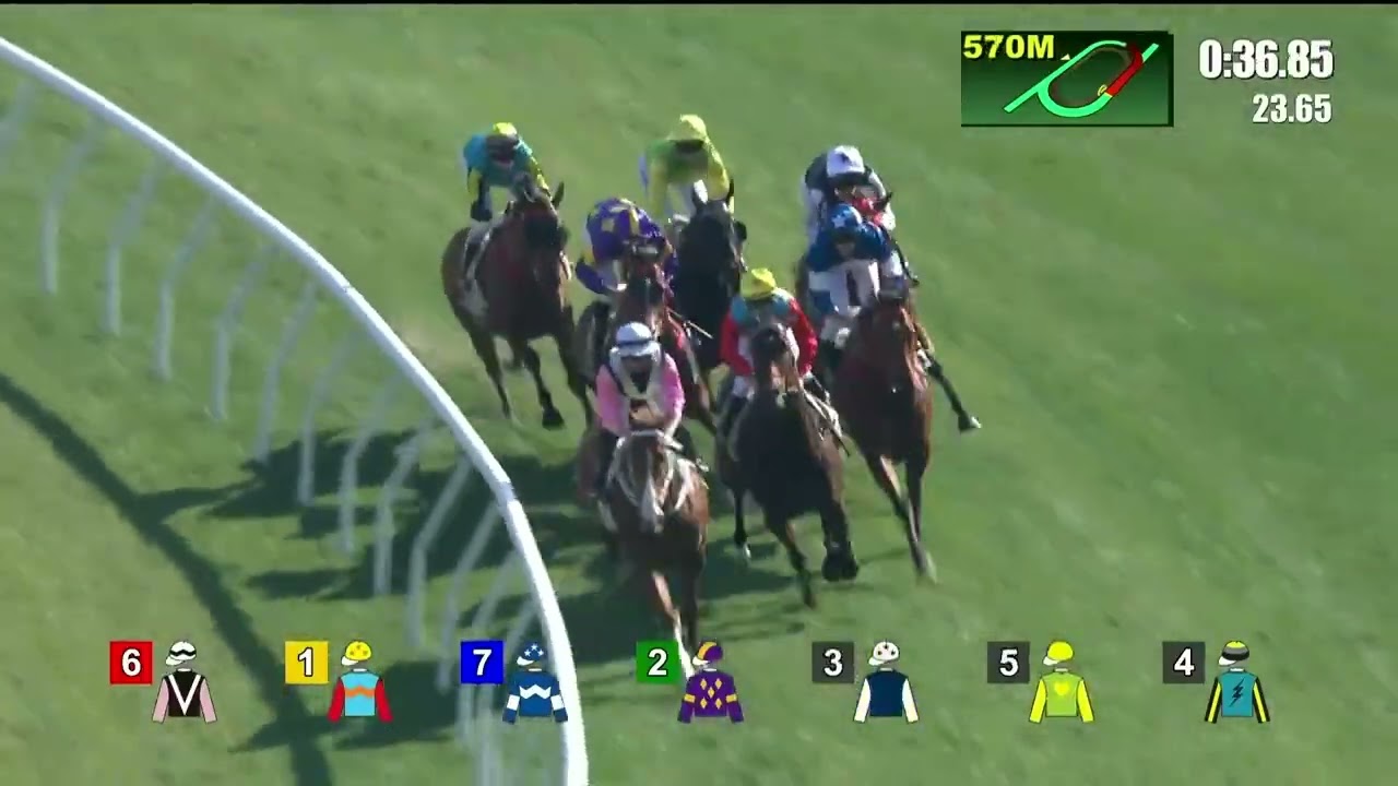 KA YING RISING - Centenary Sprint Cup 2026 (3YO+ WFA G1) Группа 1 Ша Тин Гонконг 25 января