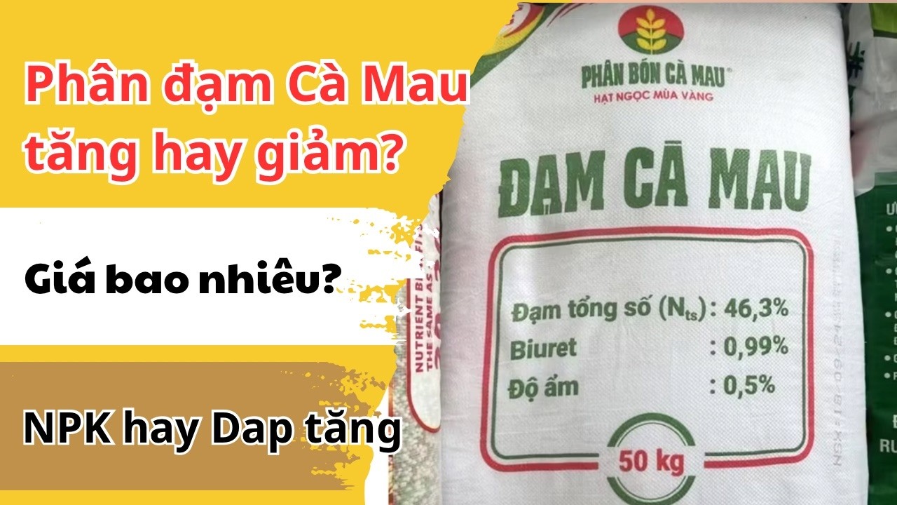 Giá phân đạm Cà Mau bao nhiêu? và giá các loại phân bón khác!