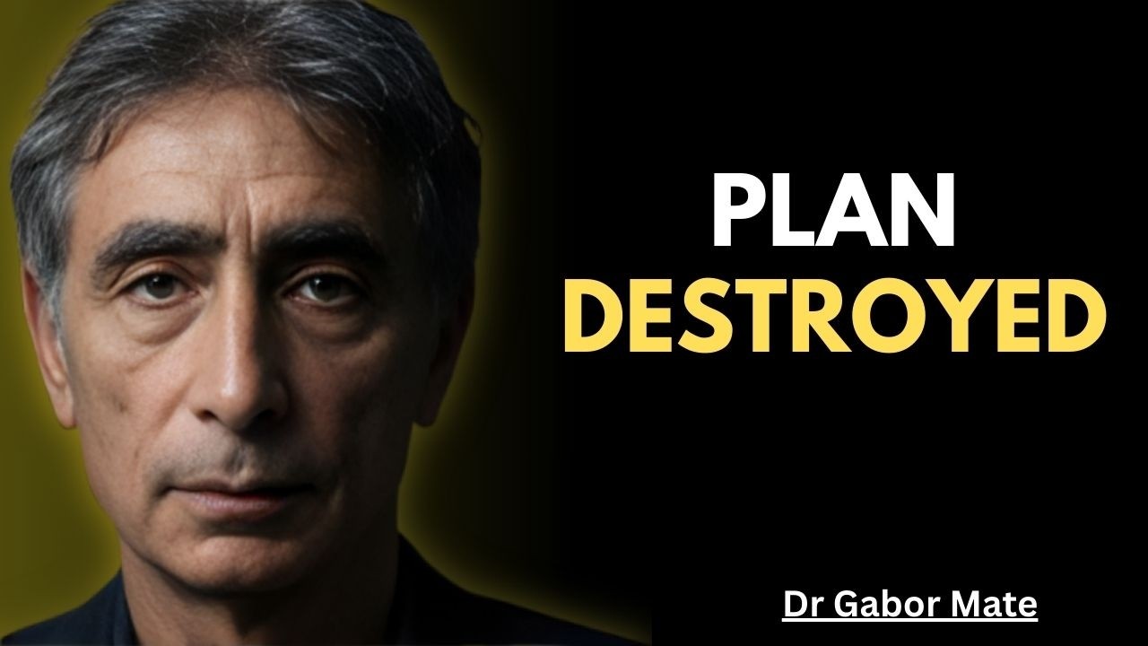 Narcissist Mad And Shocked Because Everything They Plotted Has Backfired | DR GABOR MATE