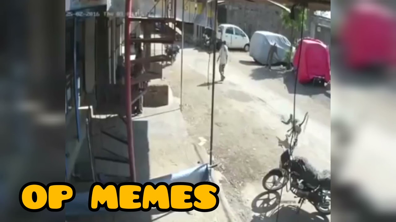 drunken monkey 😂 | OP MEMES | best meme