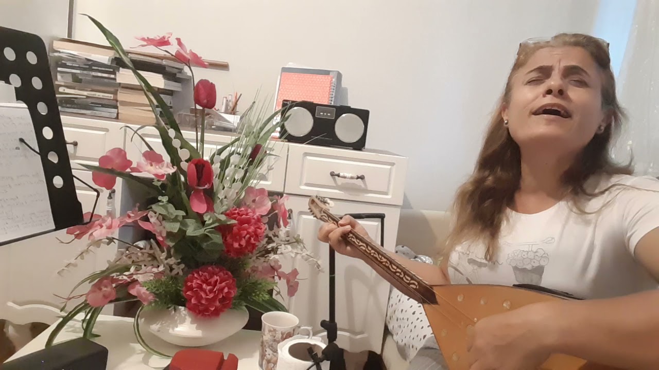 AYSEL DEMİRCİ .Saram kollarımı başın altına