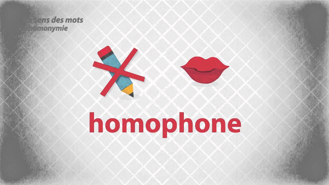 Le sens des mots - L'homonymie