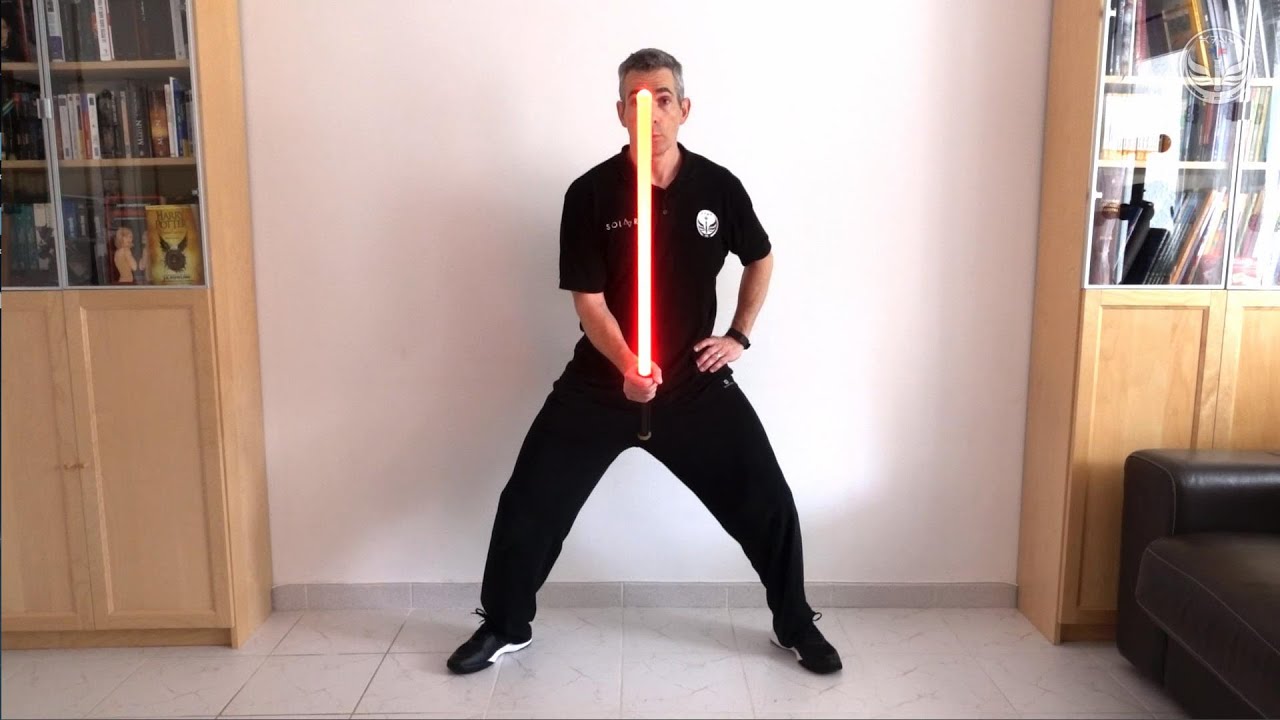 Sabre Laser à la Maison / Dominante : Forme 2 – Makashi