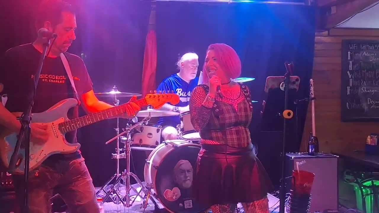 Heyscuba Shangri-La Rebel Yell Parrots